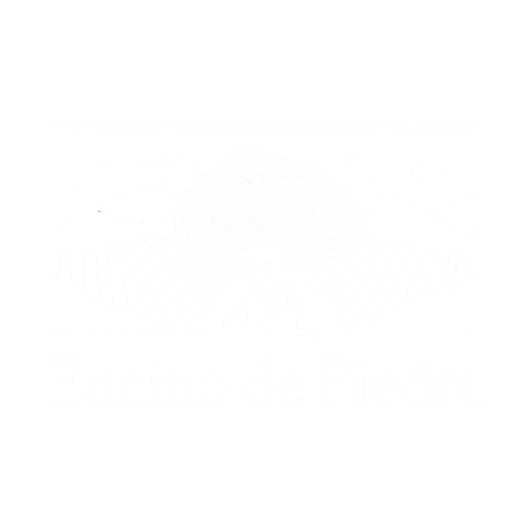 Encino de Piedra